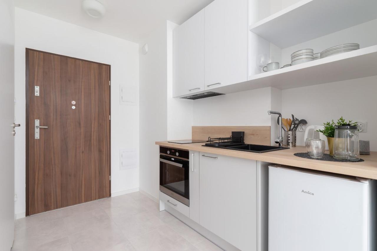 Elegant Pet-Friendly Studio In Krakow By Noclegi Renters المظهر الخارجي الصورة